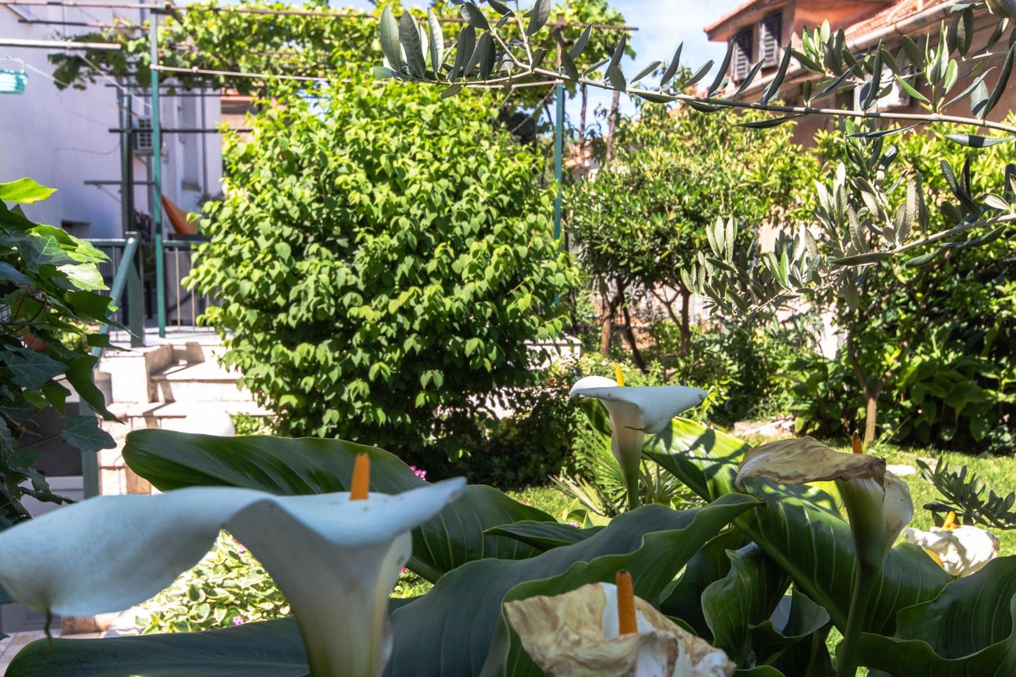 Apartmán Marjan Hill 3-br Apt,5 Guests Private Garden Near