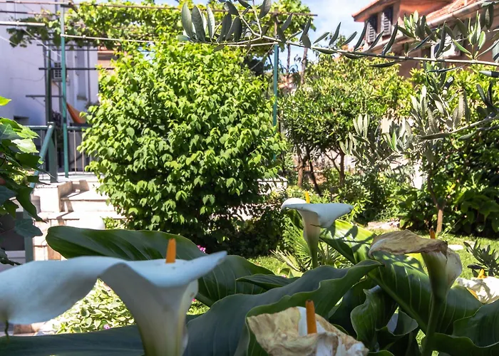 Marjan Hill 3-Br Apt,5 Guests Private Garden Near Beach
